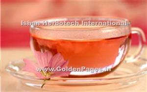 > </div>
<div class=